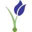 stock-image