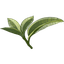 stock-image