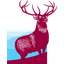 stock-image