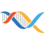stock-image