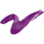 stock-image