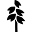 stock-image