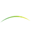 stock-image