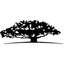 stock-image