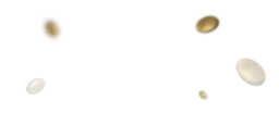 Fi Referrals Hero Background