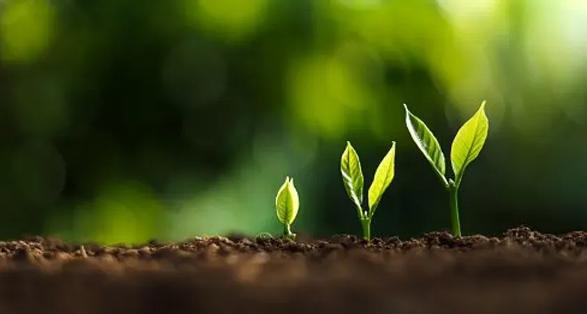 Index Fund vs. Mutual Fund: What's the Difference?