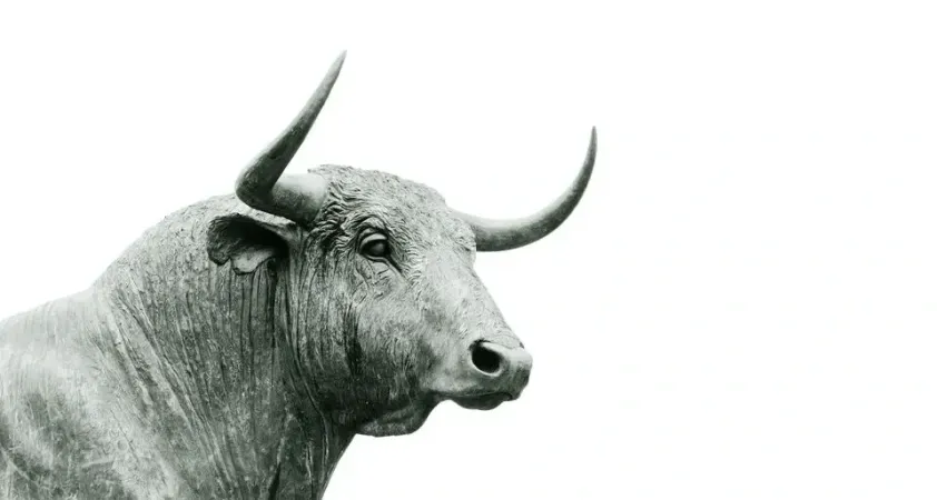 Indian Stock Market Outlook