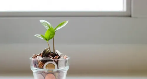 What are Savings Accounts and how do they work?