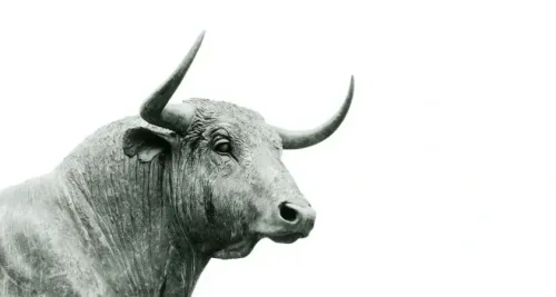 Indian Stock Market Outlook for 2024